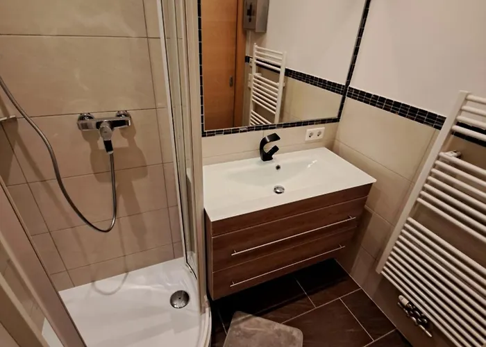 Apartmán Anna Schladming